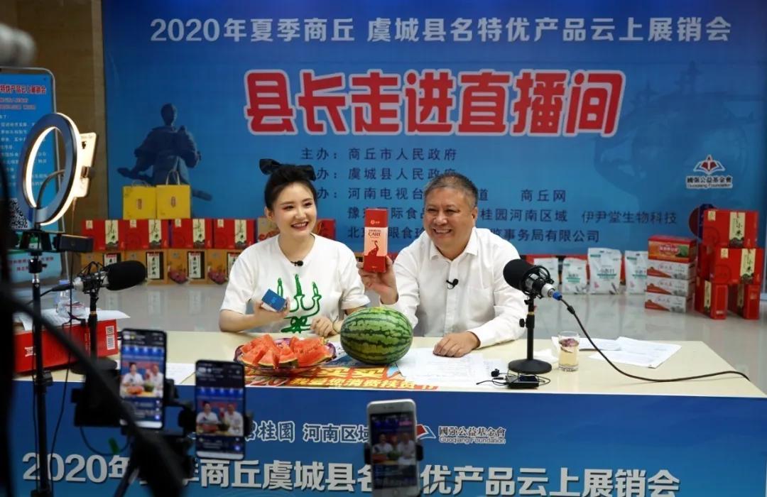 虞城碧桂园最新房价揭秘，小巷深处的惊喜发现之旅