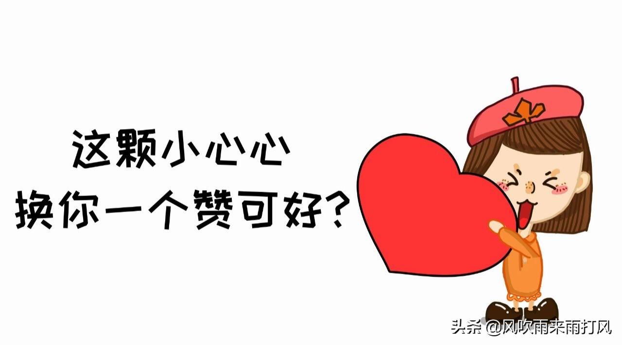 最新行驶证贷款,最新行驶证贷款背后的故事