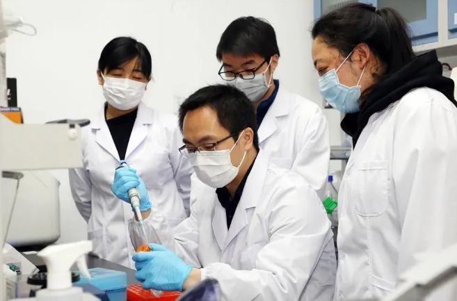 专家深度解析新冠疫情最新动态，病毒变异趋势与防控策略探讨🔬💉