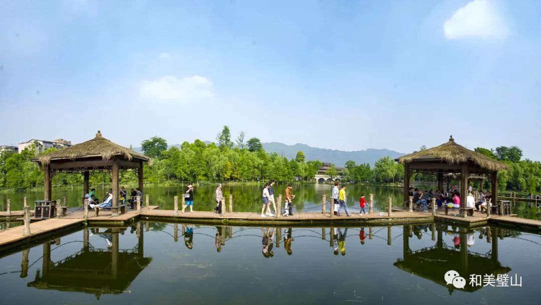 璧山最新渡情,璧山最新渡情，发展动态与人文魅力