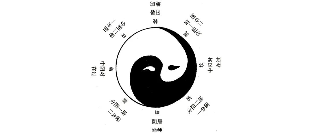 太极图的最新动态与揭秘🌟