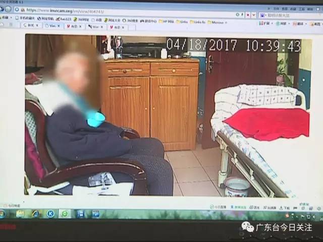 高机最新网站揭秘，小巷中的隐藏宝藏，带你探索特色小店