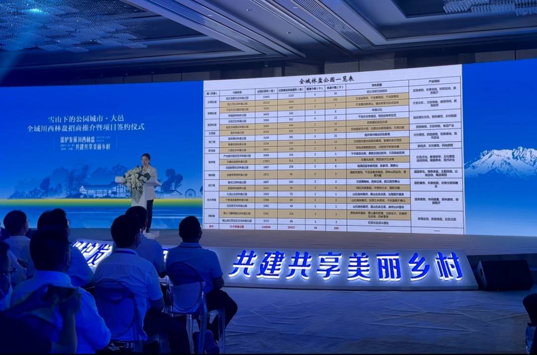钱大师最新版，科技引领金融革新，体验未来金融新纪元