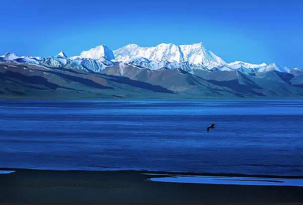 D21B最新之旅，探寻自然美景，寻觅内心宁静
