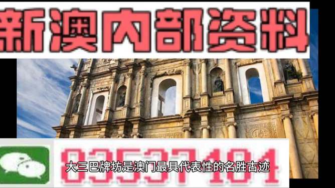 2024新澳正版免费资料,社会承担实践战略_安全版98.701