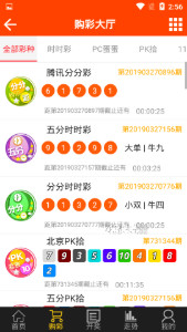 王中王一码一肖一特一中2024年,决策支持方案_随身版45.425