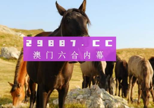 第2449页