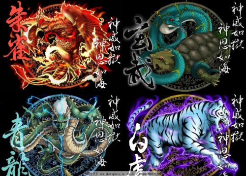四虎影最新W，友情魔法与温馨日常的交织