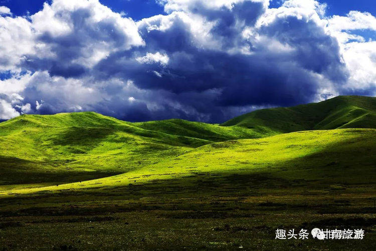 草潦最新网站，自然美景的梦幻探索，内心平和绿洲的寻找之旅