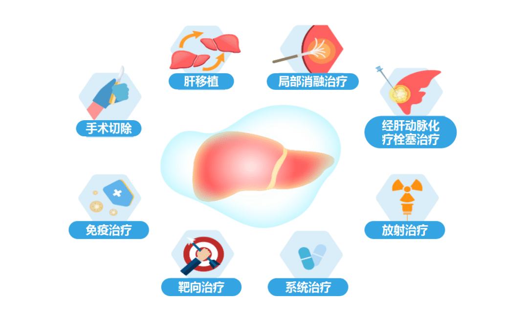 窝精子最新版，科普解读与应用指南