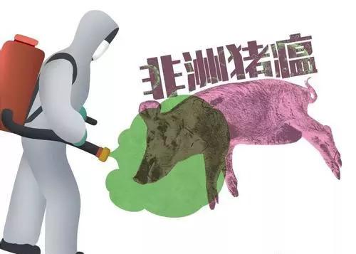 香港疫情下的海关新日常，温馨有趣的旅程探索