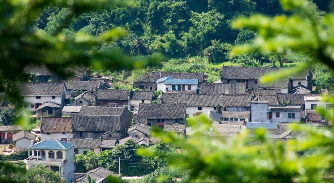 台风气象最新预报与小巷深处的隐藏瑰宝探秘