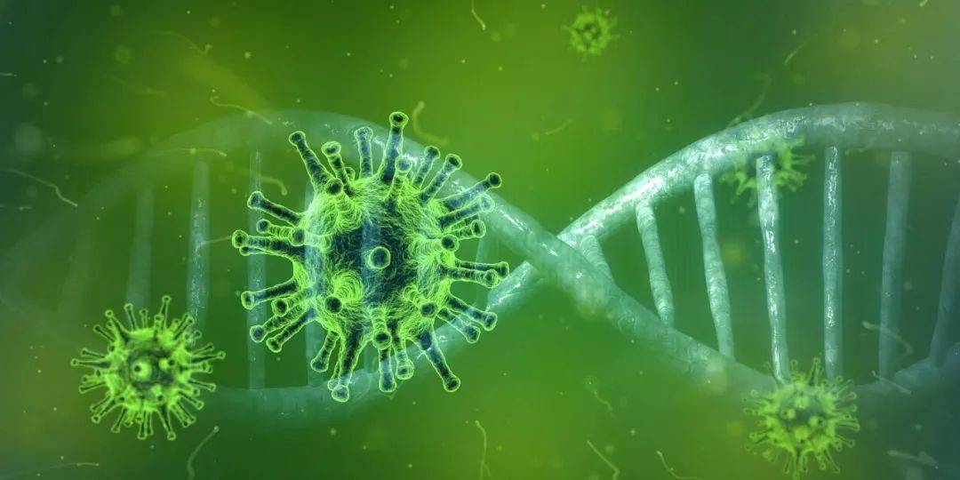 新冠病毒最新动态，挑战与机遇并存，全球共同应对疫情变革