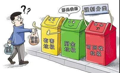 最新垃圾分类规定重塑环保行动格局