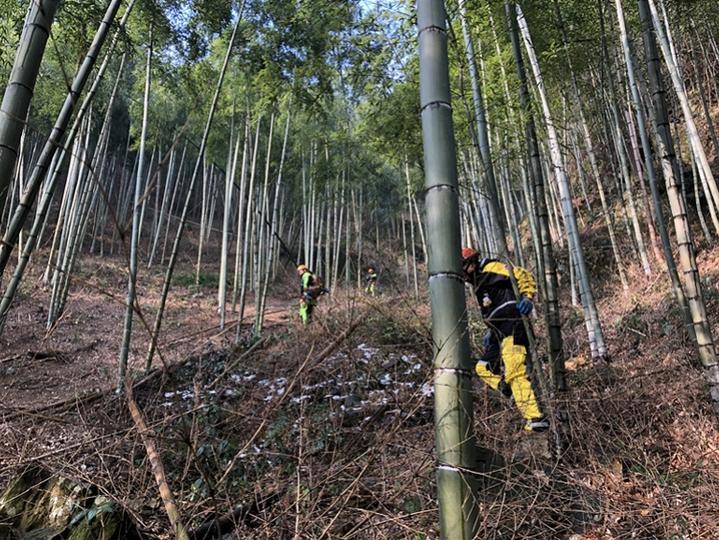 杭州失踪女性最新情况报告更新