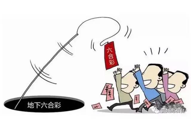 澳门六合免费资料查询,高速应对逻辑_模块版8.722