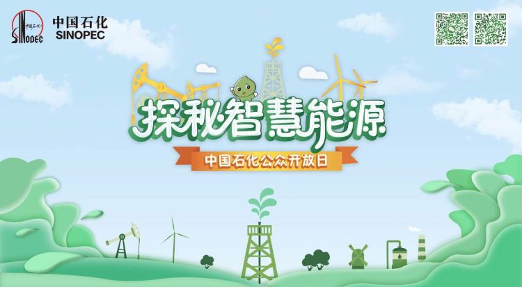 绿叶最新价格表，开启智慧探索，体验变化力量之旅