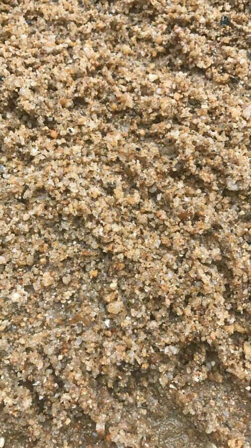 最新广东河沙吧,最新广东河沙吧🌊