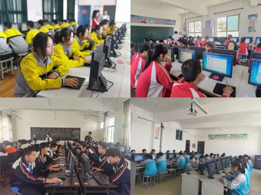 金多子最新动态详解，任务完成与技能学习全攻略