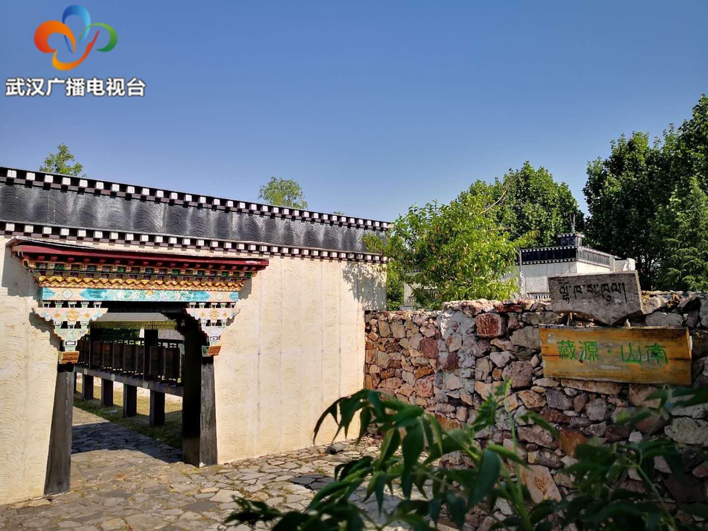 温馨小城抗疫实录，最新病例与爱的力量，日常抗疫与陪伴的力量