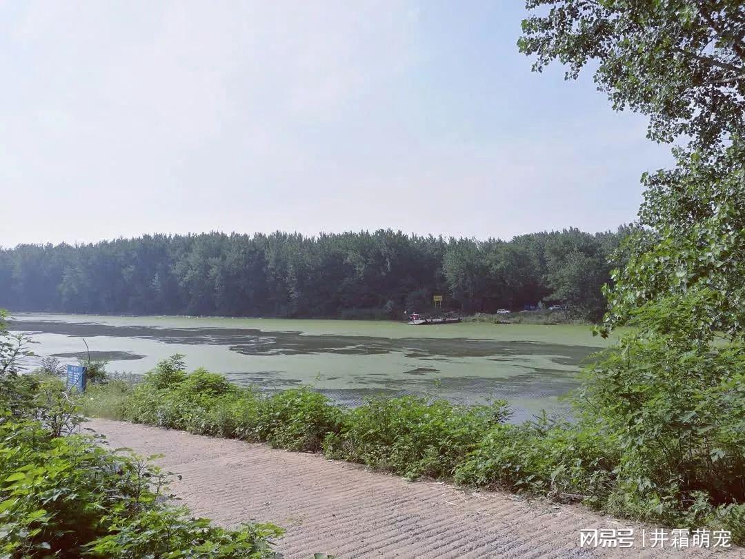 阜阳市拆迁最新动态，探索自然美景的轻松之旅启程了