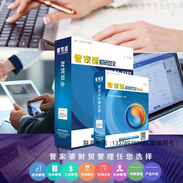 2024年管家婆100,策略规划_数字版17.389