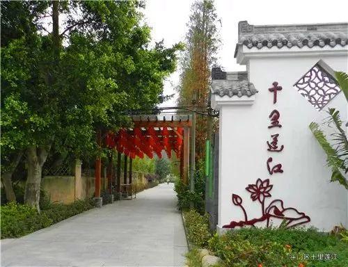 珠海城中村最新消息,珠海城中村最新消息——小城的温情日常