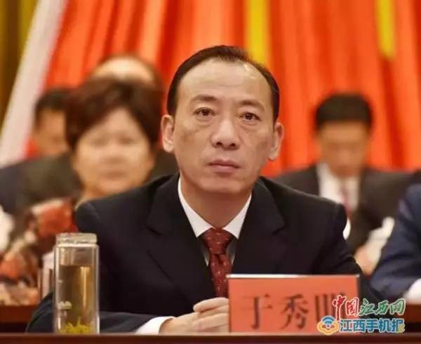 通城县姜卫东最新任命，深度解读与观点阐述