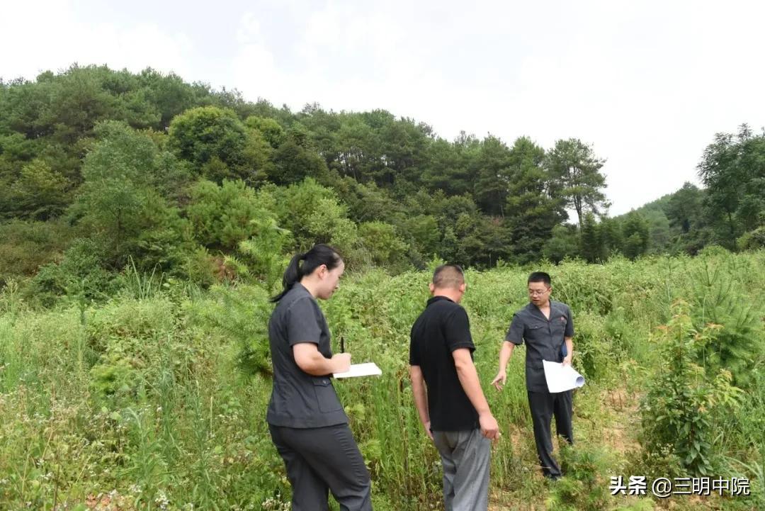 小城司法改革最新动态，检察院司改进展与温馨故事