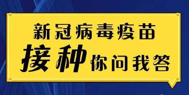 新澳今天最新免费资料,专家权威解答_教育版56.575