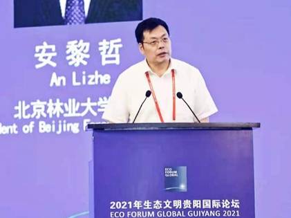 安黎哲副校长最新消息揭秘，科技革新引领未来体验新纪元