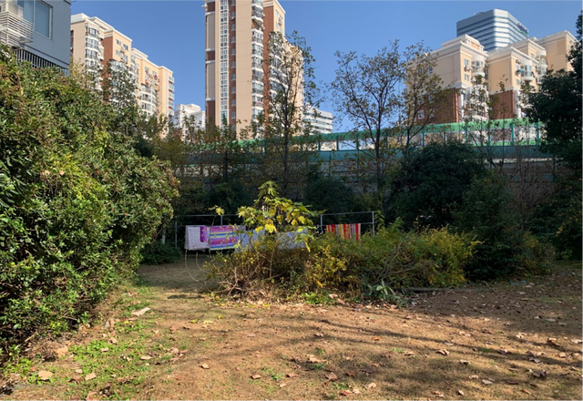 龙腾嘉园三期最新动态，自然美景的探索之旅