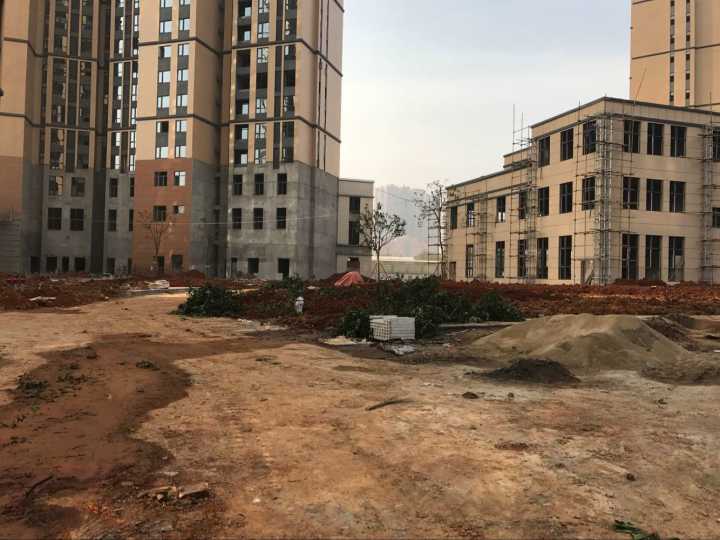 黄石紫金花城新动态，变化中的学习之旅，自信与成就感的源泉
