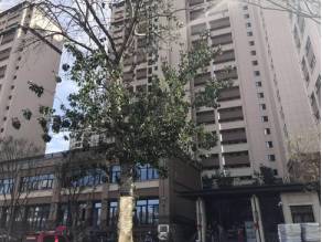 东洲家园自住房最新动态与温馨日常