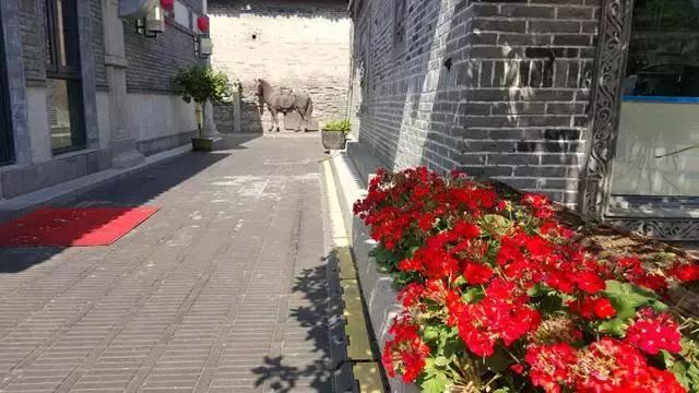 韩城市新城区最新招聘，小巷中的独特风味之旅