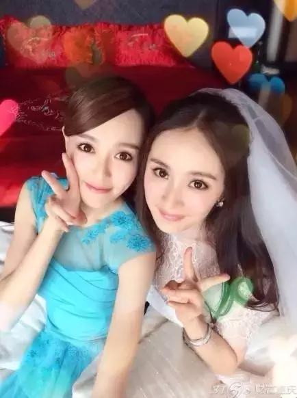 仙剑四电视剧演员表,仙剑四电视剧演员表——友情与陪伴的温馨日常