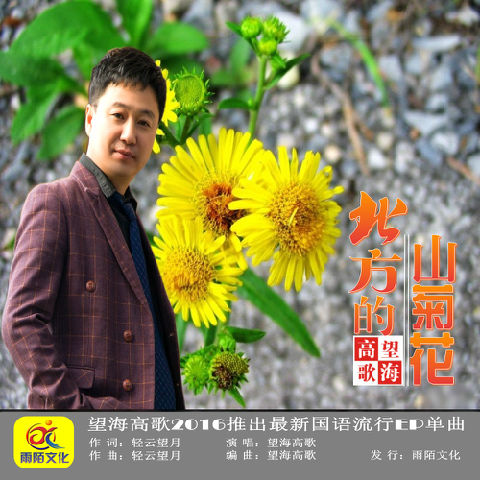 山菊花演员表大全及详细步骤指南