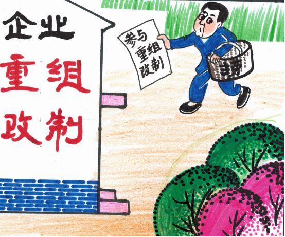 全面解读与观点阐述