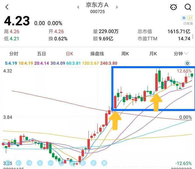 纸板价格最新行情，市场走势深度分析与预测