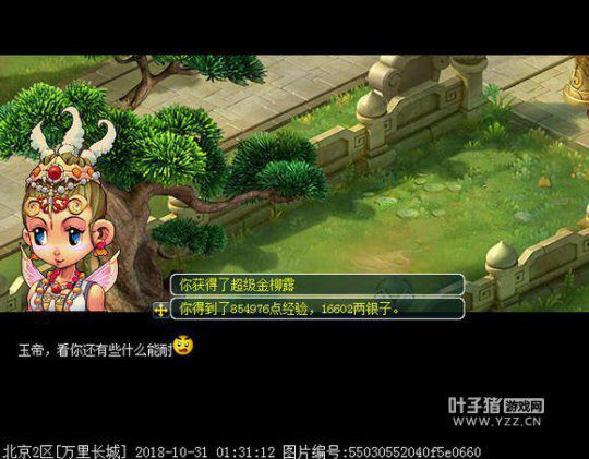 梦幻西游最新五开攻略，自然美景的心灵之旅