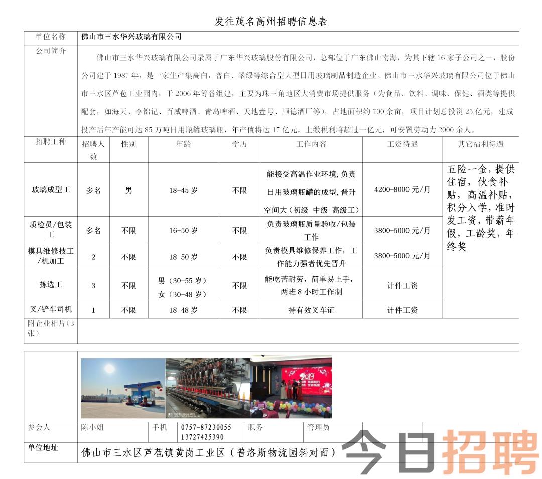 🌟中山港口镇最新招聘信息大揭秘🌟