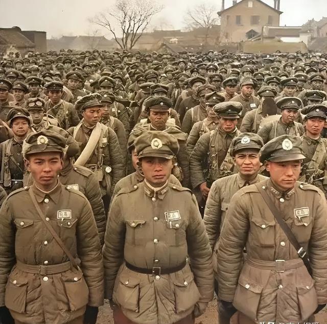 顾地科技公司日常温馨故事揭秘，公告背后的趣事与友情纽带