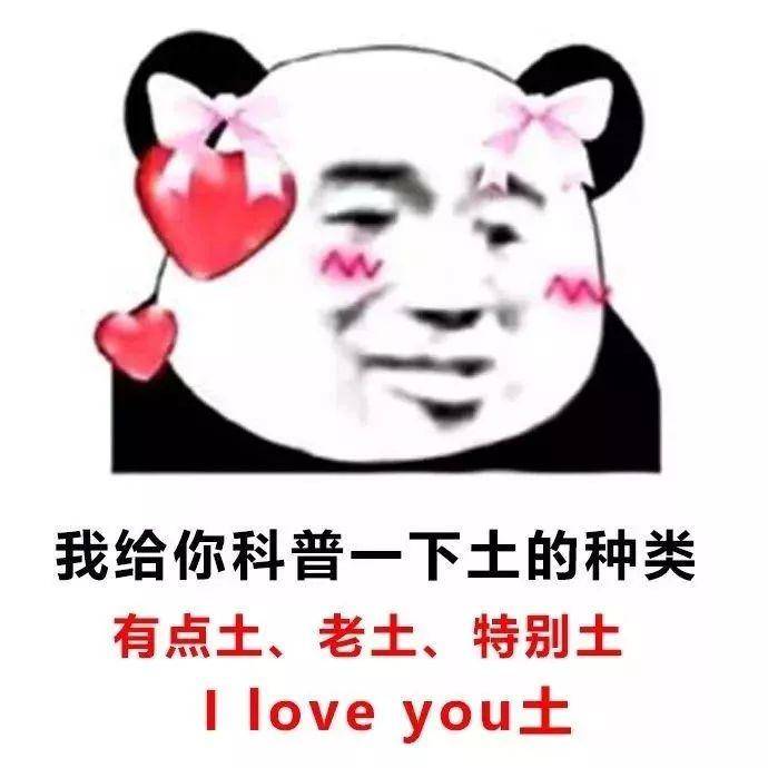 科技魅力加持，最新撩妹图让生活更浪漫！