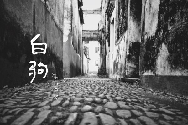 拉飞姆最新，小巷中的美食秘密