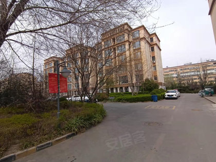尚品清河最新动态，日常趣事与情感纽带