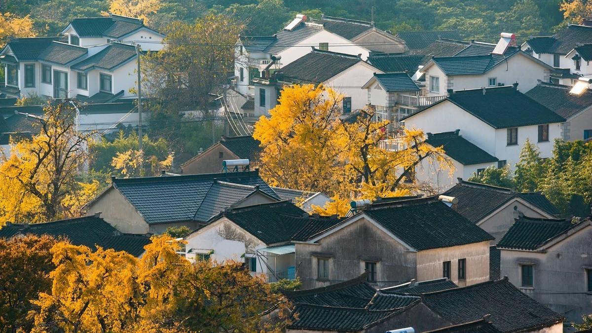 昆山最新防控措施下的自然美景轻松探索之旅