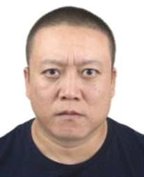 最新光头兄弟，现象解读与深度探讨的探讨