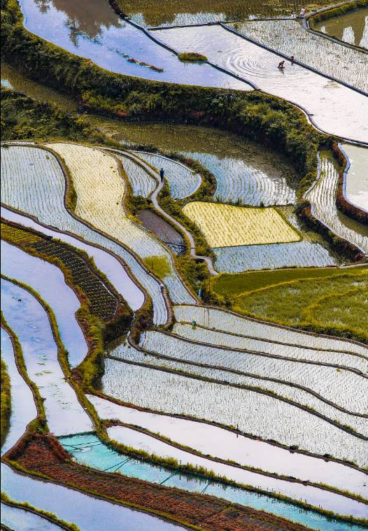 疫情下的小旅行，探寻自然美景与内心宁静的旅程