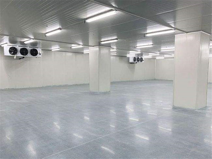 济南冷库疫情最新动态与一场自然美景的治愈之旅