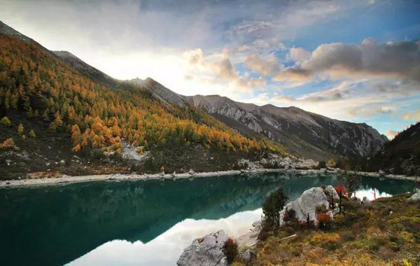 张典最新视频，自然美景之旅，探索内心平静的奇妙旅程